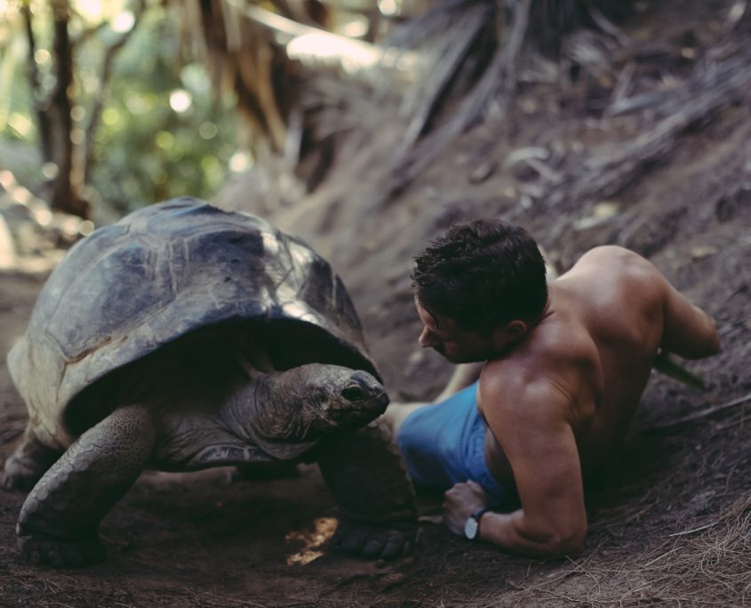 Kara Kaplumbağası Fotoğrafları