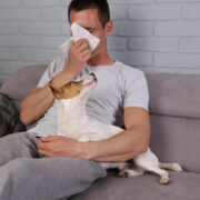 Evcil Hayvan Tüyü Alerjisi ve Alerjiden Korunma Yolları