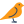 Kanarya icon