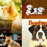 Köpekler Hakkında Yapılmış En İyi Filmler Listesi Köpekler Hakkında Yapılmış En İyi Filmler Listesi