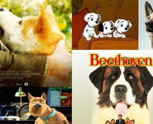 Köpekler Hakkında Yapılmış En İyi Filmler Listesi